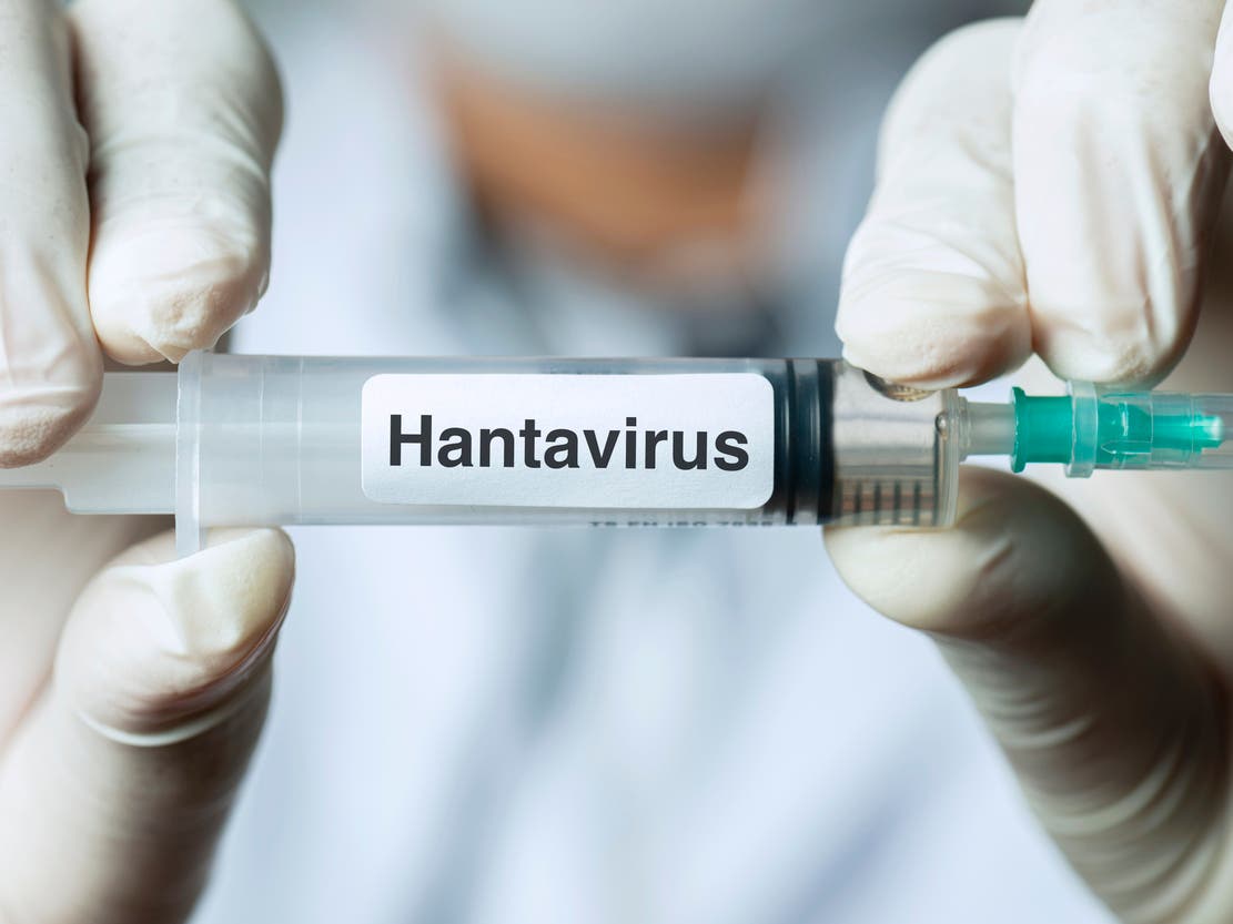 World Health: The outbreak of the Hanta virus is neither the beginning of an epidemic nor a pandemic