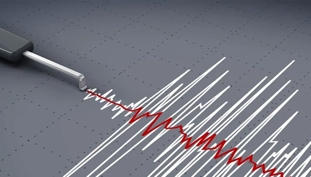 هزة أرضية ليلا... وهذا مصدرها